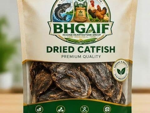 Dried catfish fish 🐟